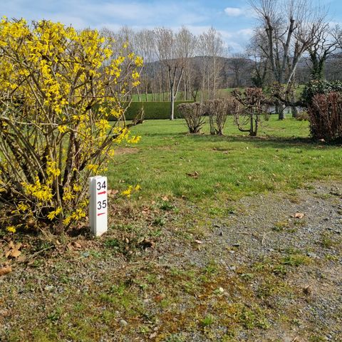 PIAZZOLA - con l'elettricità