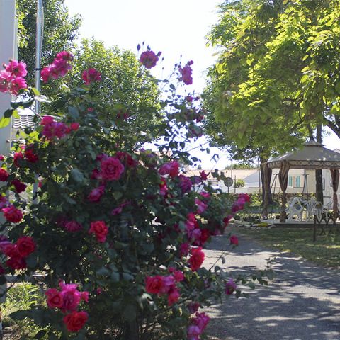 Camping Les Acacias Camping Les Acacias - Camping Charente-Maritime - Image N°12