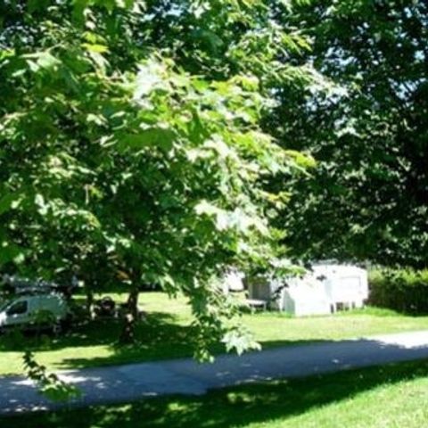 PARCELA - ESPACIO CONFORT (2 pers. + 10 A elec. + 1 Vehículo + 1 Tienda o 1 Caravana o 1 Autocaravana)