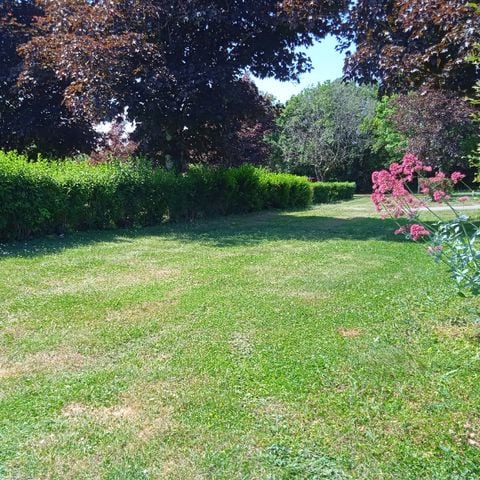 Kampeerplaats - CAMPING PITCH