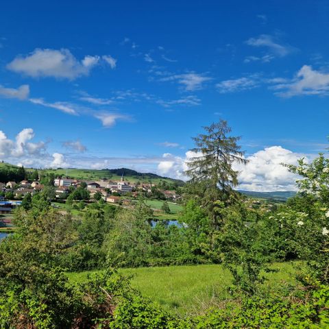 PLOT - Comfort package (1 tent, caravan or camper / 1 car / electricity 6A)