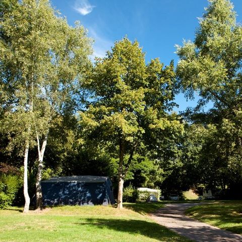 PLOT - Comfort package (1 tent, caravan or camper / 1 car / electricity 6A)