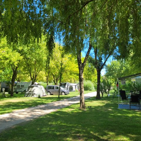 Kampeerplaats - Privilege pakket (2 pers/1 tent, caravan of camper/1 auto/water+elec 10A) 140 tot 180m².
