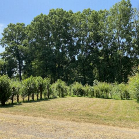 Kampeerplaats - CAMPING