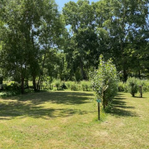 Kampeerplaats - CAMPING