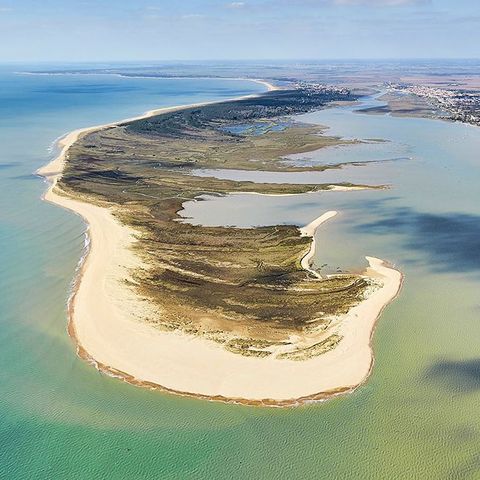 Flower Camping Le Pre Des Sables Flower Camping Le Pre Des Sables - Camping Vendée - Image N°32