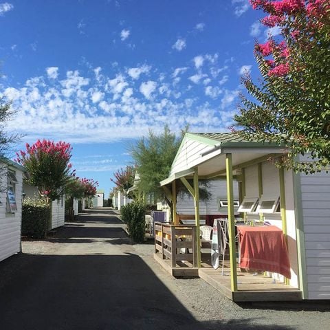 Camping Les Tulipes - Camping Vendée - Image N°2