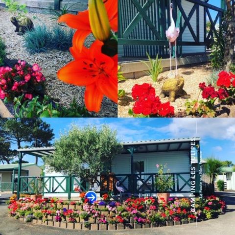 CHALET 2 people - Semi-detached chalet 16m² - 1 bedroom + covered terrace 8m² 2 people