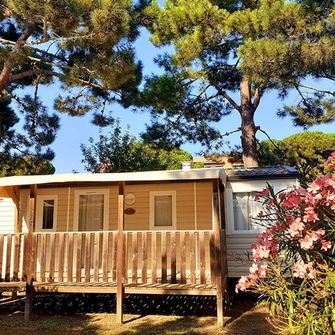 MOBILHOME 6 personnes - Mobil-home 4/6 pers climatisé