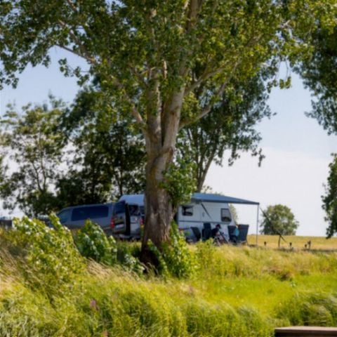 Kampeerplaats - Vissen