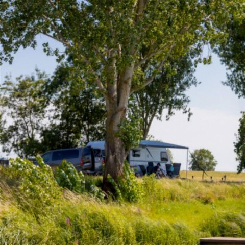 STAANPLAATS - Vissen