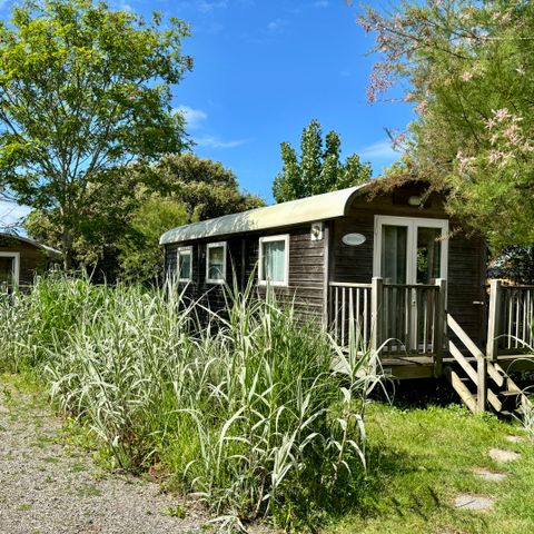 UNIEKE ACCOMMODATIE 4 personen - COMFORT TRAILER +