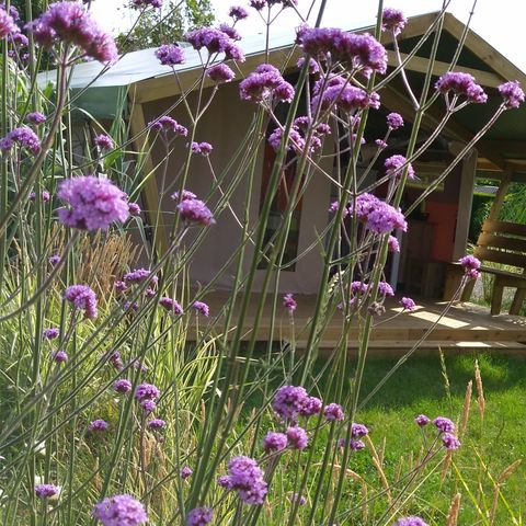 Glampingtent 5 personen - Lodge Comfort Freeflower