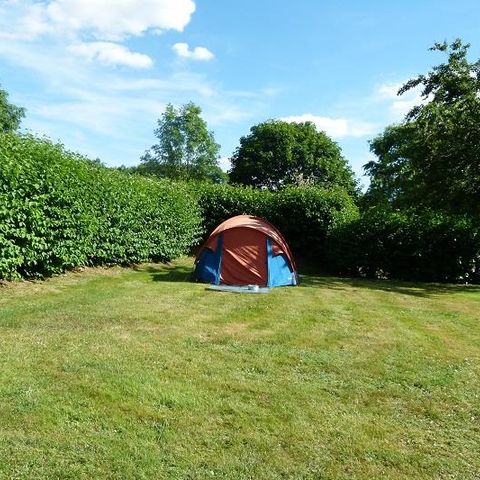 STAANPLAATS - Kampeerplaats zonder elektriciteit voor tenten
