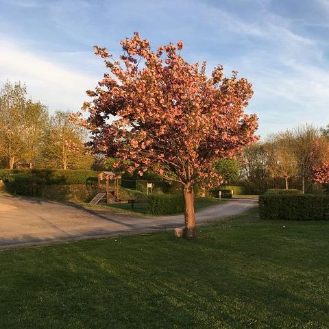 PLOT - Camping pitch without electricity for tents