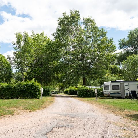 Kampeerplaats - Privilege pakket (staanplaats + tent of caravan of auto) met elektriciteit en water