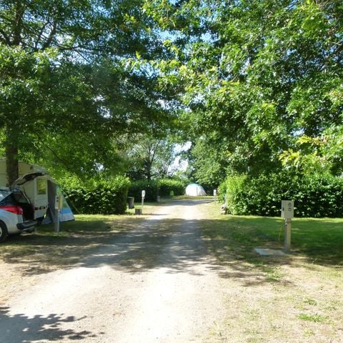 STAANPLAATS - Privilege pakket (staanplaats + tent of caravan of auto) met elektriciteit en water