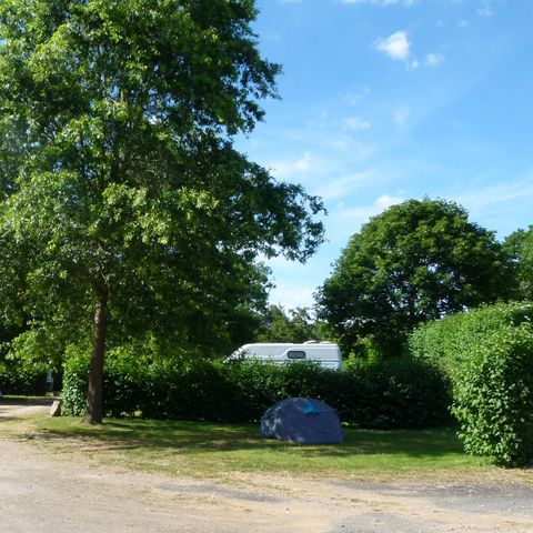 STAANPLAATS - Privilege pakket (staanplaats + tent of caravan of auto) met elektriciteit en water