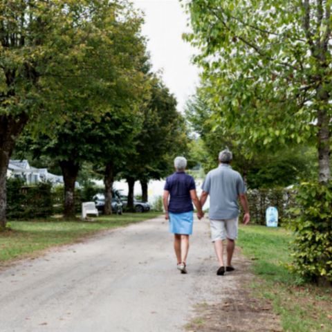PARCELA - Parcela con electricidad