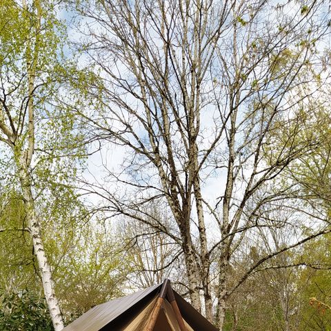 Zelt 2 Personen - LODGE mit Strom