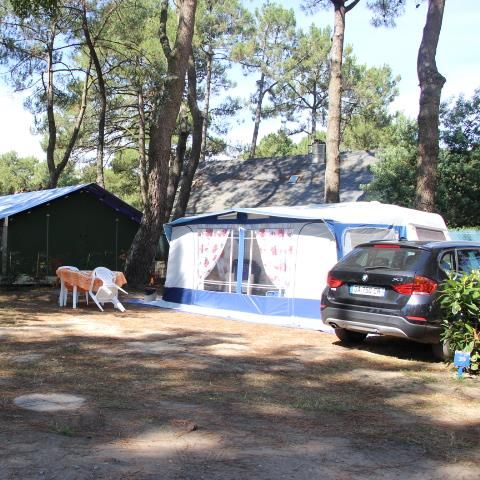 PARCELA - Paquete confort (1 tienda, caravana o autocaravana / 1 coche / electricidad 10A)