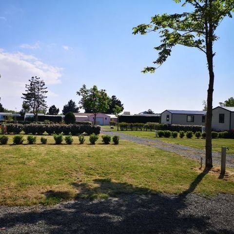 Pitch - Bare pitch with electricity