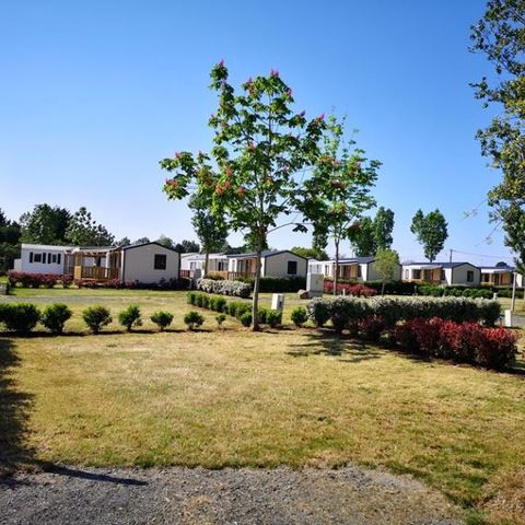 STAANPLAATS - Kale staanplaats met elektriciteit