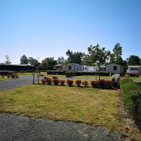 PLOT - Bare pitch with electricity