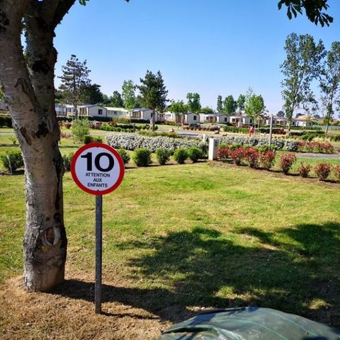 PIAZZOLA - Piazzola nuda con elettricità