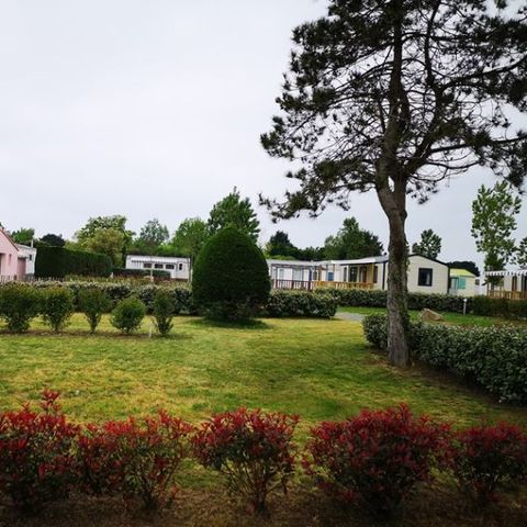 PARCELA - Parcela desnuda con electricidad