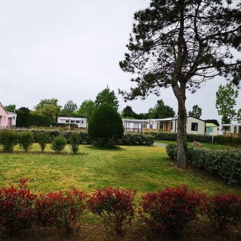 Stellplatz - Nackter Stellplatz mit Strom