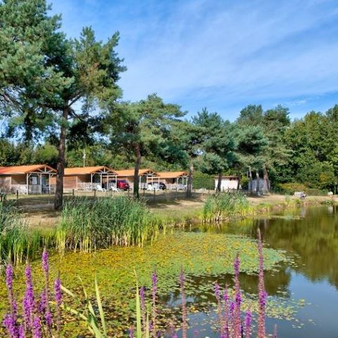 CHALET 5 persone - CHALET DU LAC (EDEN)