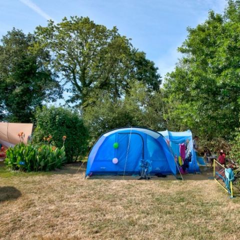 STAANPLAATS - COMFORT LOCATIE (Klassiek)