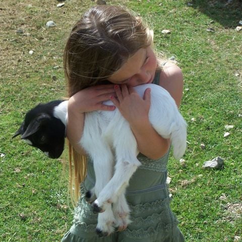 Camping L'Ambois - Camping Vendée - Image N°6