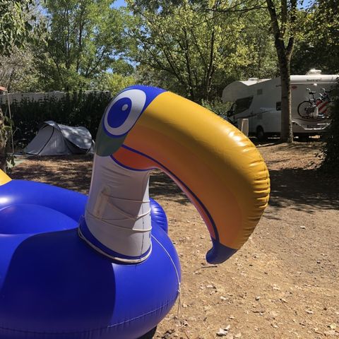 Stellplatz - Stellplatz Confort 100/150m² (1 Zelt, 1 Wohnwagen oder 1 Wohnmobil) + Strom + Wasser/Abfluss