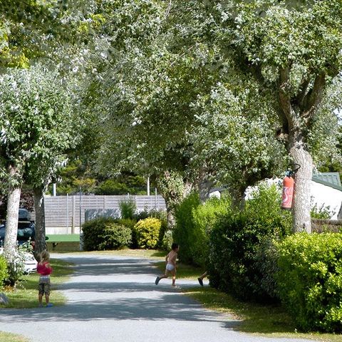 PARCELA - Parcela + 1 coche + electricidad 6A