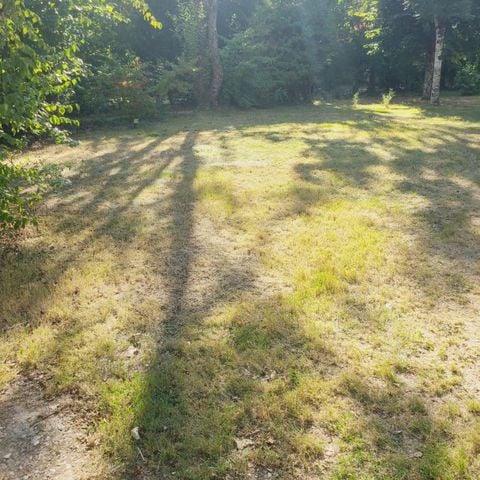 EMPLACEMENT - Forfait A : emplacement + voiture