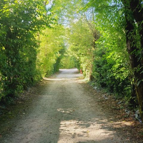 Camping Le trèfle à 4 Feuilles - Camping Vendée - Image N°3