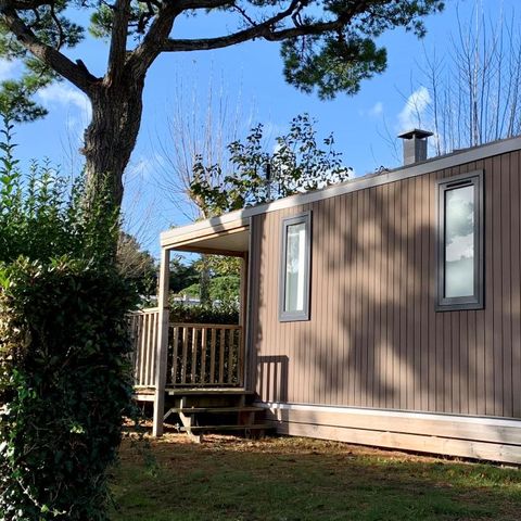 Mobile home 4 persons - Cottage Comfort Plus