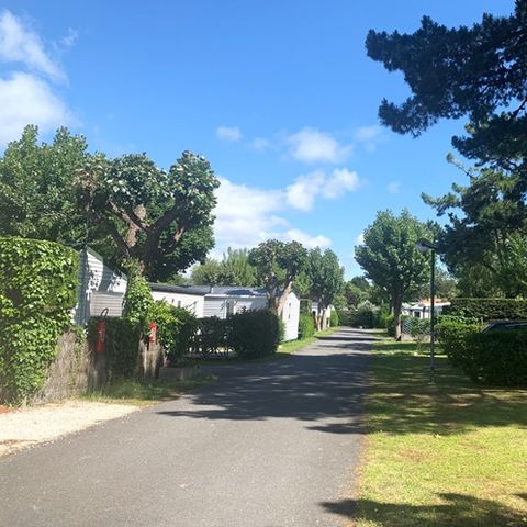 Stellplatz - Stellplatz + Strom 10A + 1 Fahrzeug + Zelt oder Wohnwagen