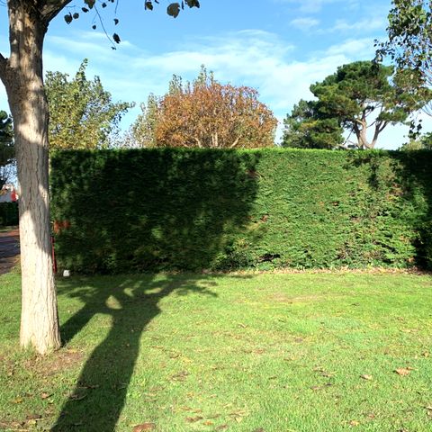 PLOT - Pitch + 10A electricity + 1 vehicle + tent or caravan