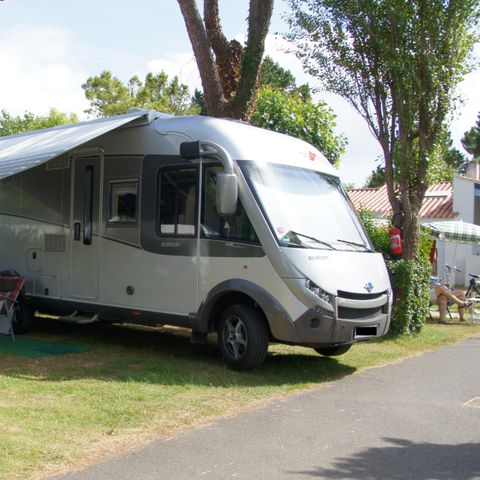 STAANPLAATS - Standplaats + 10A elektriciteit + 1 voertuig + tent of caravan