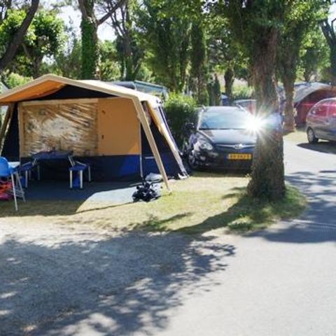 STAANPLAATS - Standplaats + 10A elektriciteit + 1 voertuig + tent of caravan