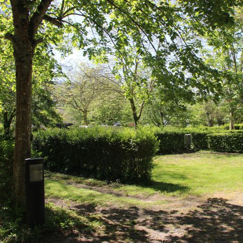 PLOT - Comfort package (1 tent, caravan or motor home / 1 car / electricity)