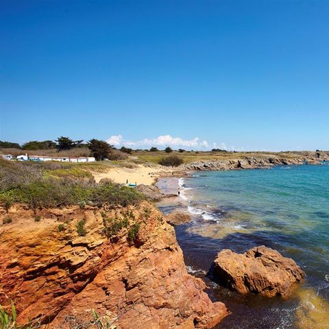 Camping Le Petit Bois - Camping Vendée - Image N°6