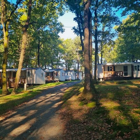 Camping Les Petites Minaudieres - Camping Vienne - Afbeelding N°2