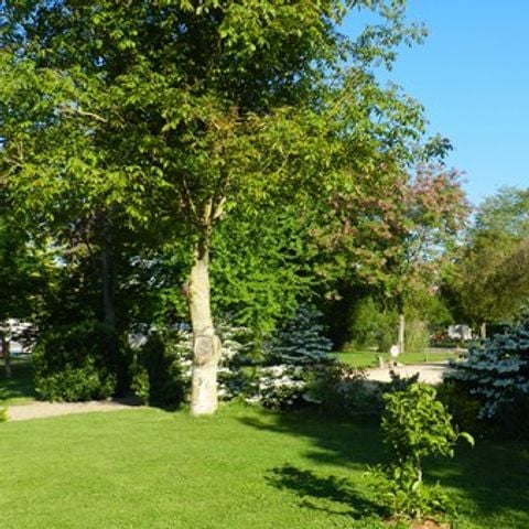 Pitch - STANDARD HARD PITCH