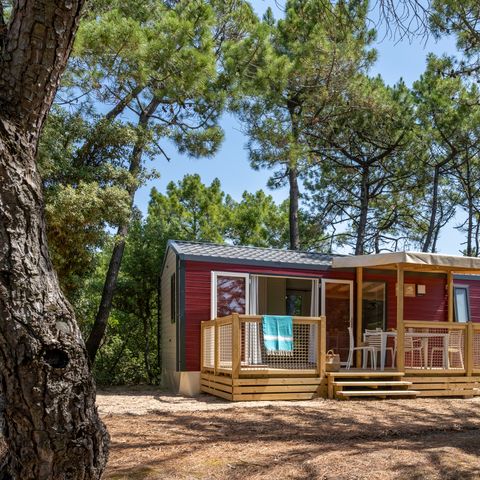 Mobilheim 4 Personen - Cottage Privilège TV LV - 2 Zimmer - 4 Personen