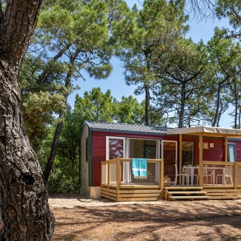 MOBILHOME 4 personas - Cottage Privilège TV LV - 2 dormitorios - 4 plazas