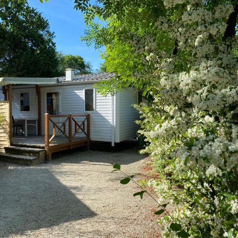 Stacaravan 6 personen - Comfort stacaravan - 3 slaapkamers